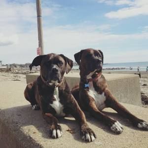 Meet your Posher, Gwyn